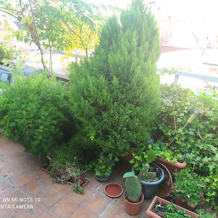 Habitacion Mv Мадрид Екстер'єр фото